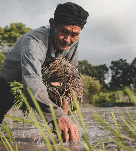 Agri-Food-Pilot Agri-Food-Pilot